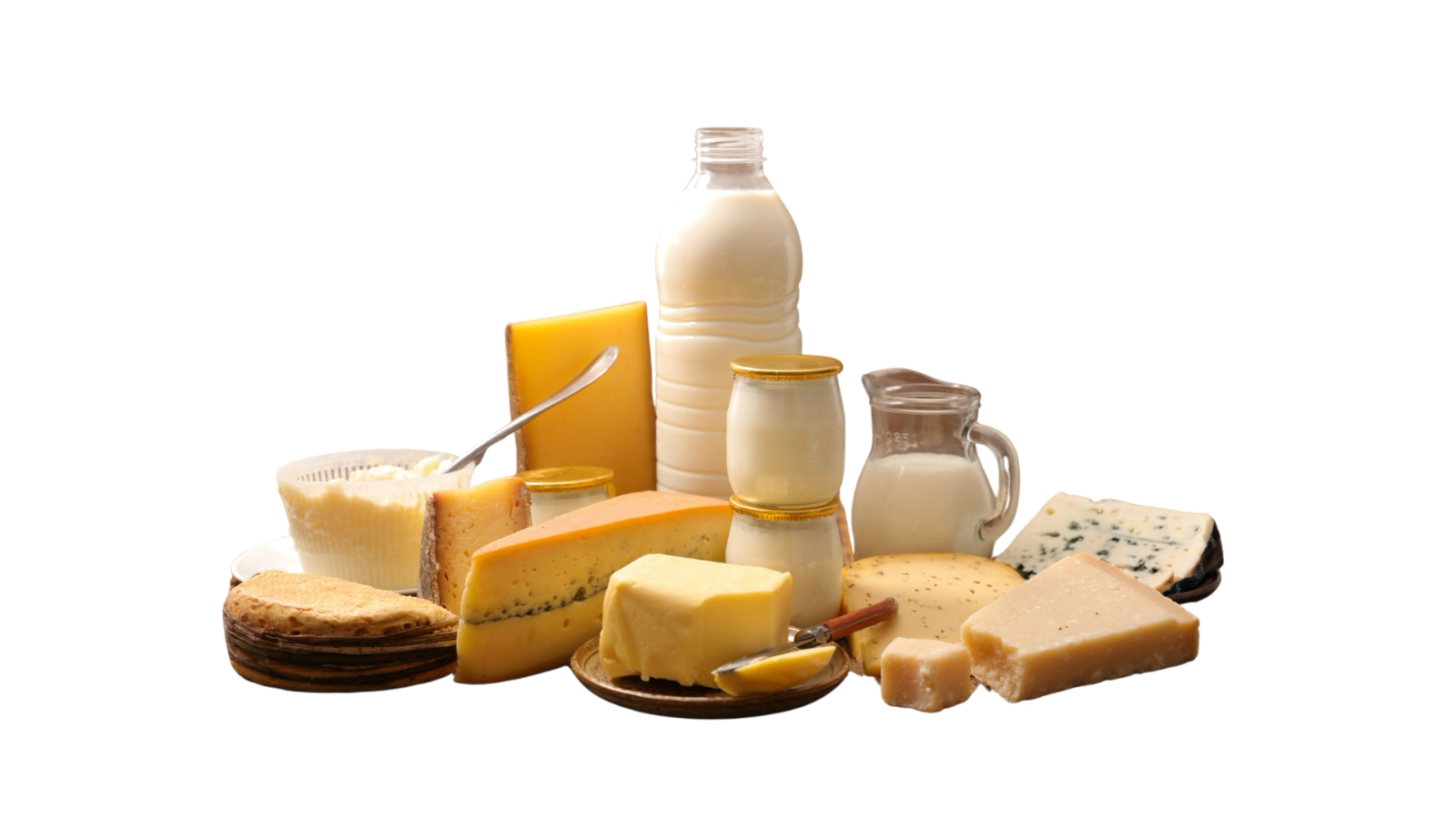 Assorted dairy products
